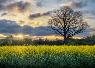 photography tuition landscape stuart coleman