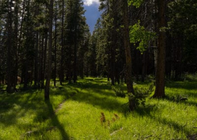 glade canada landscape photography stuart coleman