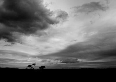 fleet loch landscape photography stuart coleman